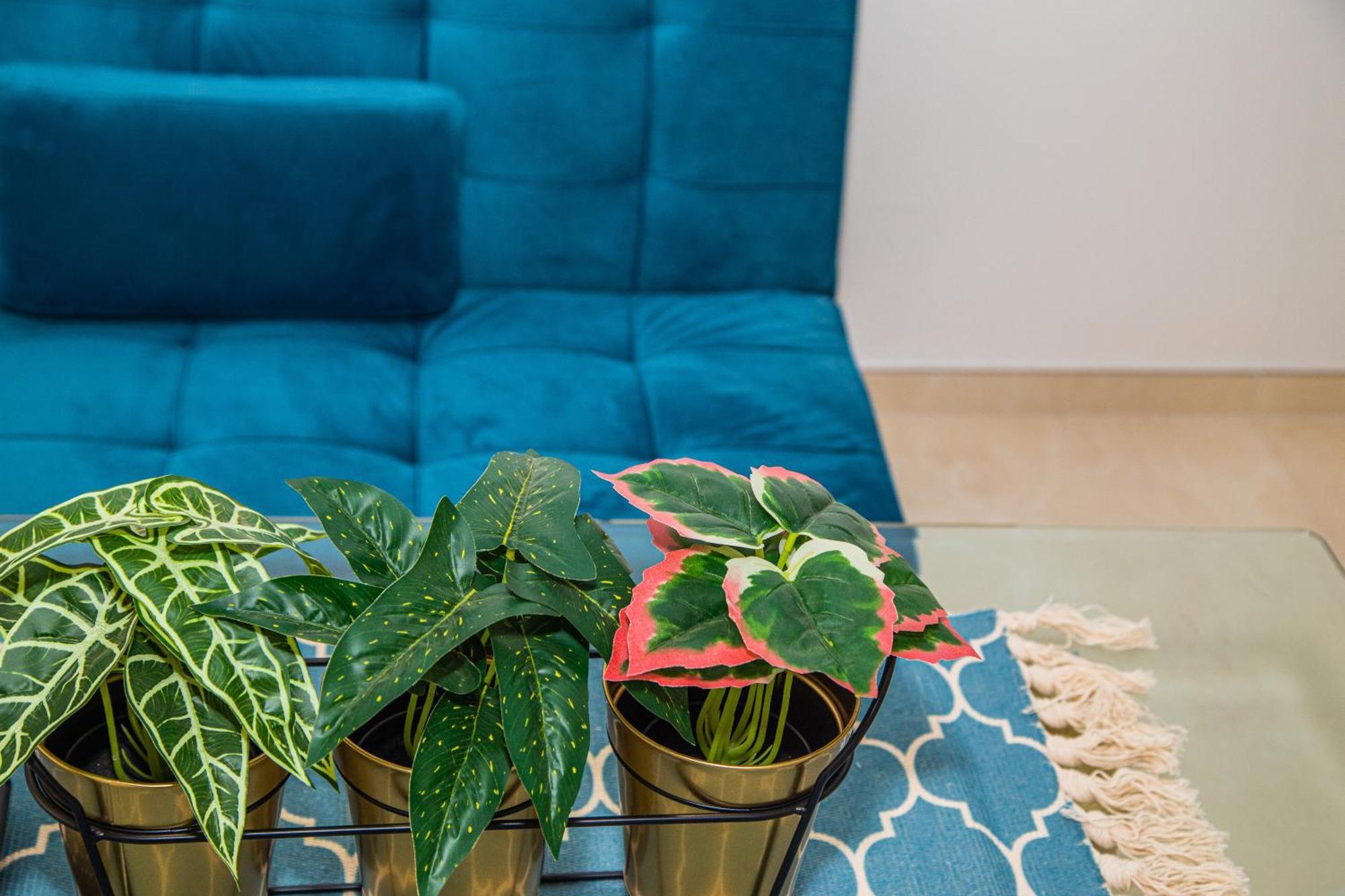 Apartamentos Centro Sandoval 코르도바 외부 사진